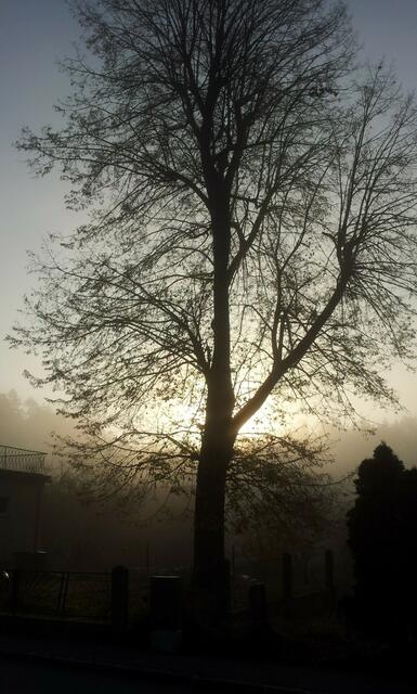 Waldviertel | Foto: Anton Hauer