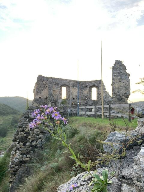 Waldviertel | Foto: Magdalena Schneemann