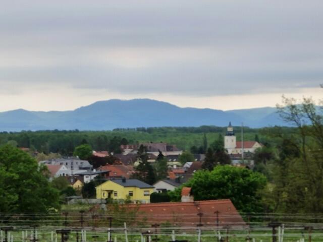 Weinviertel | Foto: Hannes Skrinjar 
