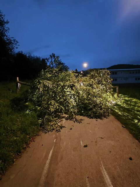 Die Polizei entdeckte den Vandalenakt bei einer Streife. | Foto: Stadtgemeinde Klosterneuburg