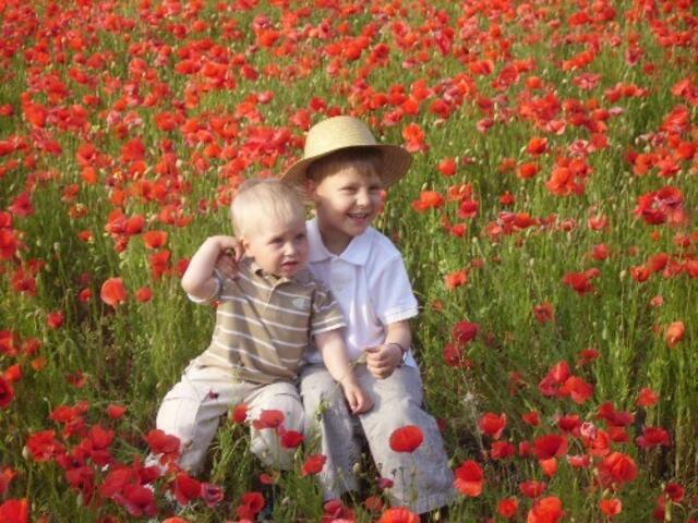 Industrieviertel | Foto: Familie Weber