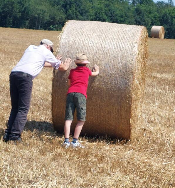 Mostvieretel | Foto: Gabriele Schlager 