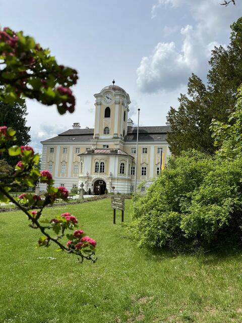 Waldviertel | Foto: Karin Gerstbauer