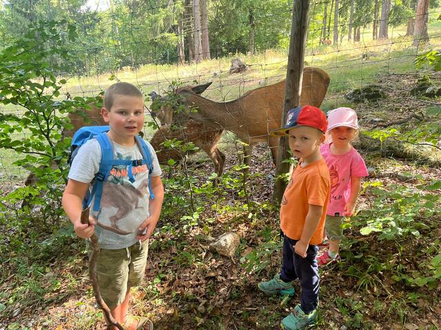 Weinviertel | Foto:  Johann Randak