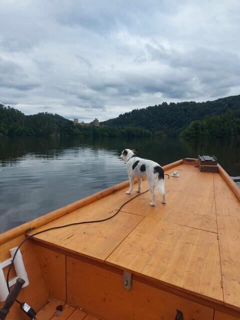 Waldviertel | Foto: Josef Rossmann