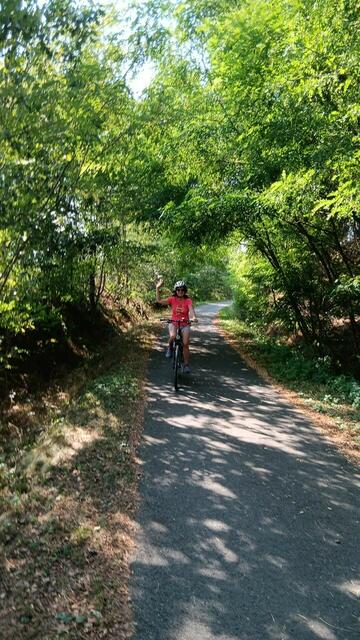 Waldviertel | Foto: Erika Münster