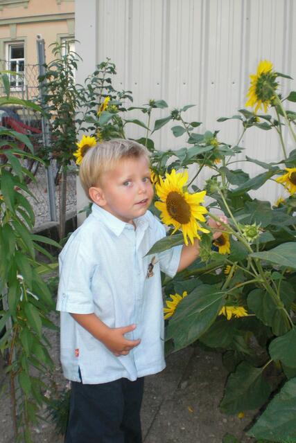 Industrieviertel | Foto: Familie Weber