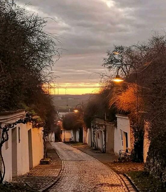 Weinviertel | Foto: Margit Gmeinböck