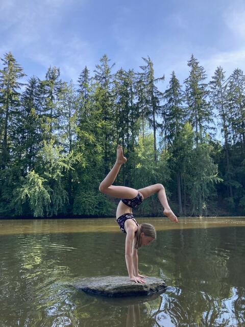 Waldviertel | Foto: Katharina Hanz