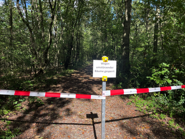 Gefahrenbereiche müssen nicht zwingend über forstliche Sperren gekennzeichnet sein. Diese stehen vor allem dort, wo gerade Bäume gefällt werden. (Symbolbild).
 | Foto: Seebacher