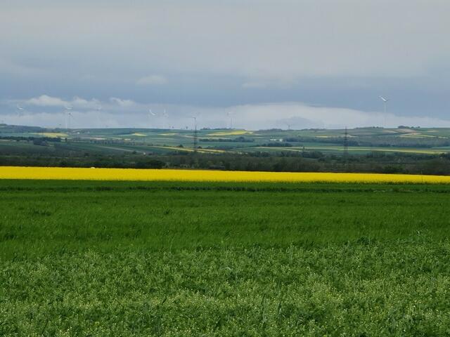 Weinviertel | Foto: Hannes Skrinjar 