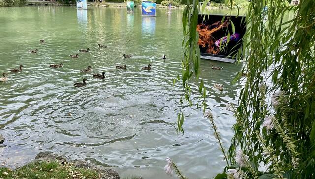 Industrieviertel | Foto: Manuela Eybl-Leroch 