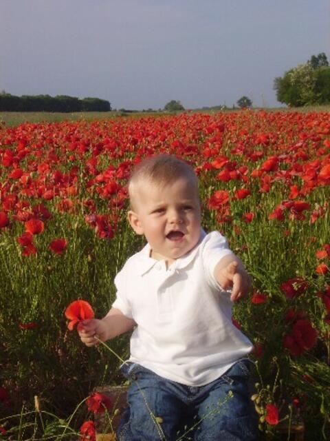 Industrieviertel | Foto: Familie Weber