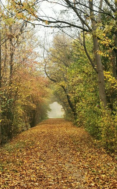 Industrieviertel | Foto: Friedrich Kapusta