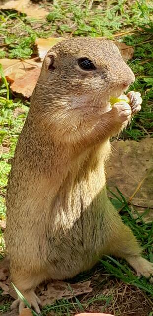 Industrieviertel | Foto:  Verena