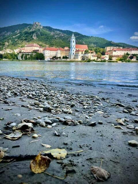 Waldviertel | Foto:  Liane Maier