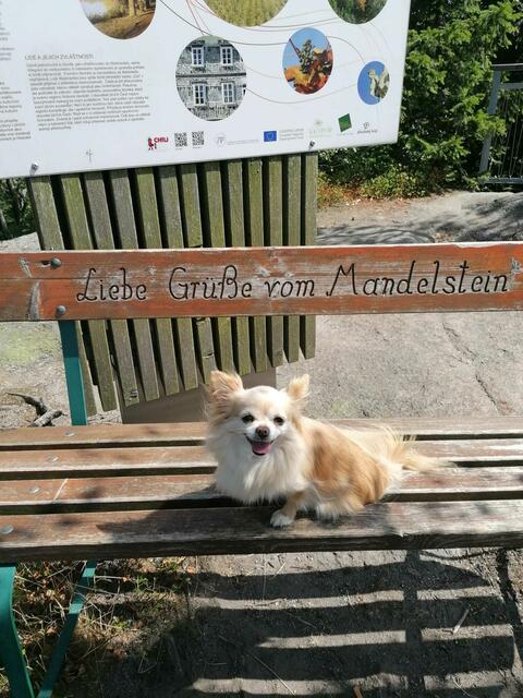 Waldviertel | Foto:  Binder Katrin