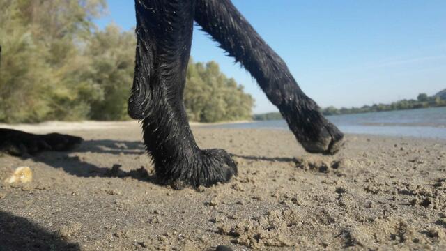 Foto: Angelika Fuchs