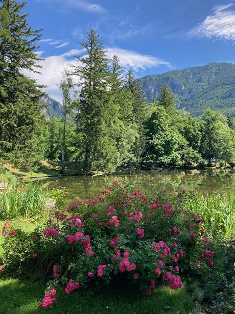 Industrieviertel | Foto: Wurzinger Angelika