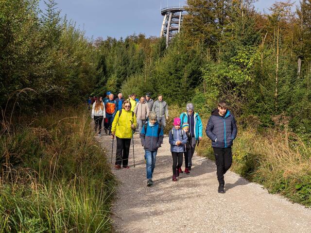 Ein Höhepunkt für des Almwandertages am Grünberg war der Baumwipfelpfad, hier im Hintergrund zu sehen. | Foto: OÖ Seniorenbund
