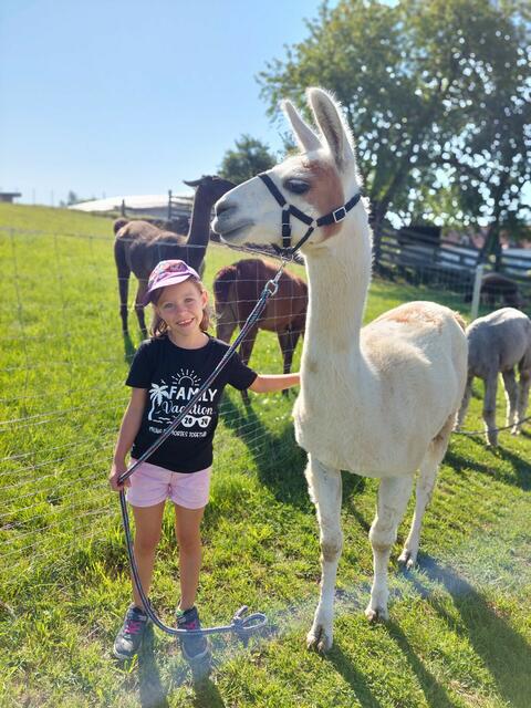 Foto: Sabine Wiesmayr