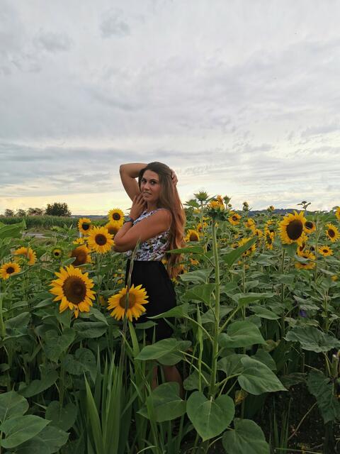 Mostviertel | Foto: Anita Wurzer