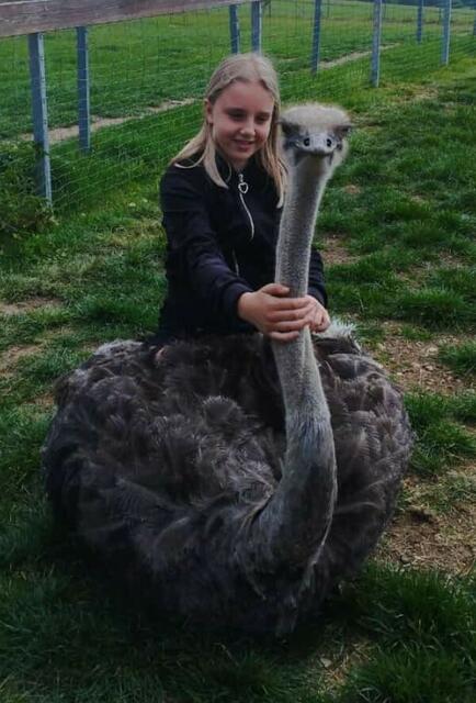 Waldviertel  | Foto: Wilfried Bicker