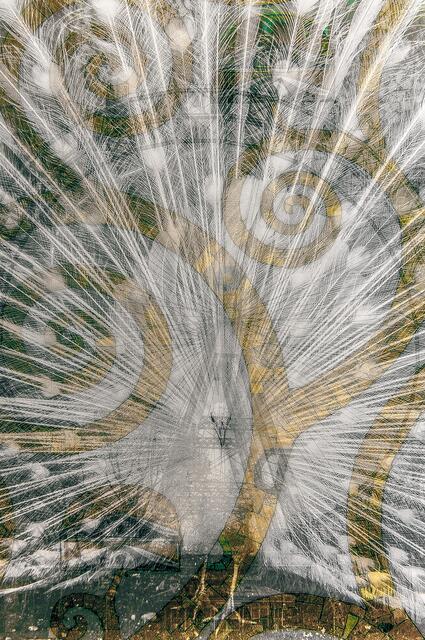 Foto: Clemens Schildberger