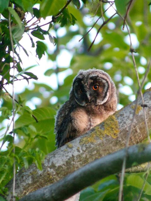 Mostviertel | Foto: Benjamin Krisa