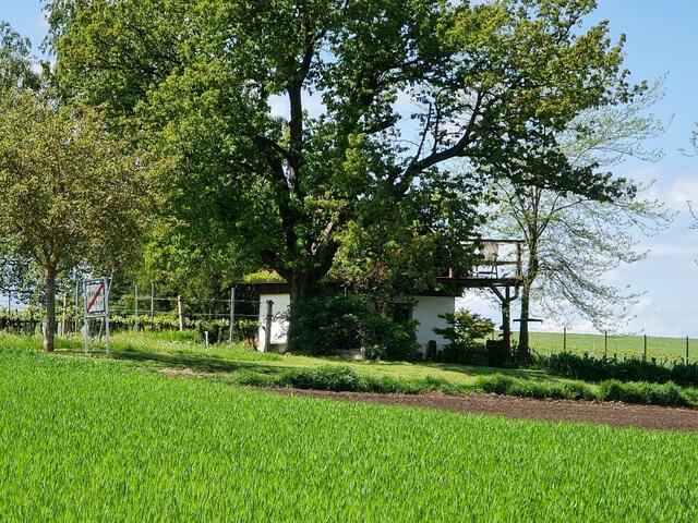 Weinviertel | Foto: Hannes Skrinjar 