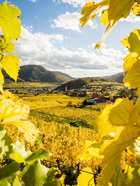 Mostviertel | Foto: René Weiss