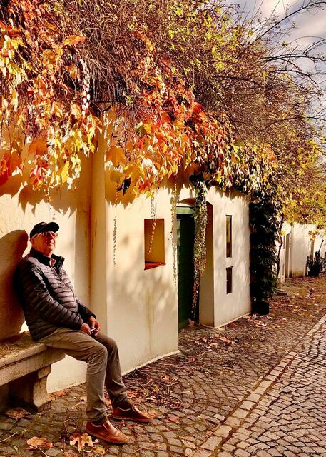 weinviertel | Foto: Margit Gmeinböck
