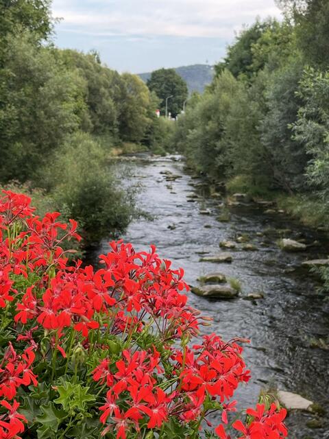 Mostviertel | Foto: Erika Staufer-Wierl