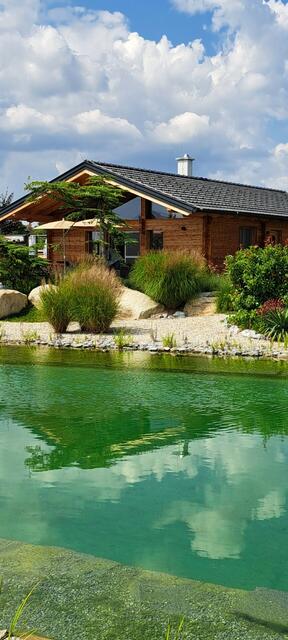 Waldviertel | Foto: Gabriela Haslinger