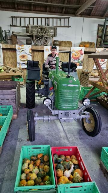 Mostviertel | Foto: Herbert Plank 