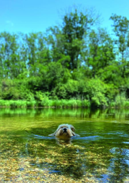 Weinviertel | Foto: Birgit Seese