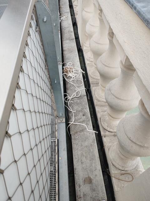 Gegenüber MeinBezirk teilte Jan Ledóchowski von der Plattform "Christdemokratie" mit, dass Videoaufzeichnungen von Donnerstagfrüh gegen 4.15 Uhr zwei Personen bei der Demontage des Banners zeigen.  | Foto: Meldestelle christenschutz.at