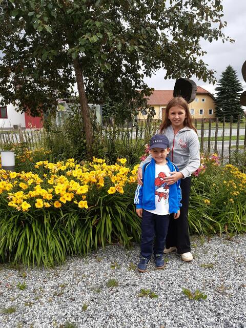 Waldviertel  | Foto: Auer Sandra 