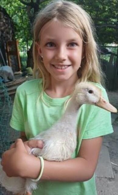 Waldviertel | Foto: Bruno Buchinger