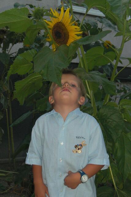 Industrieviertel | Foto: Familie Weber