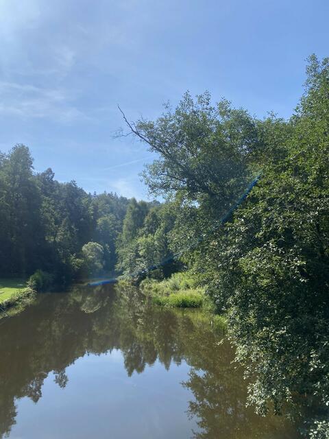 Waldviertel  | Foto: Lena Prinz