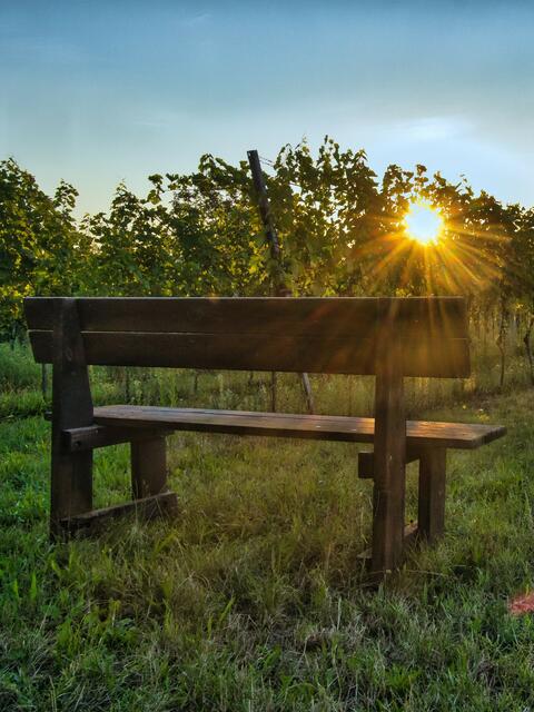 Mostviertel | Foto: Moritz Helm