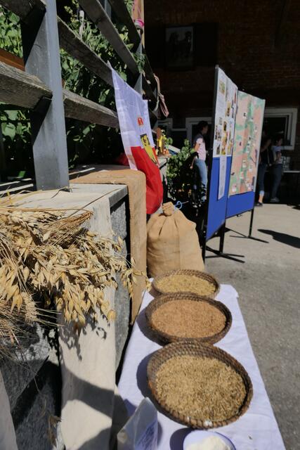 Foto: Schrödl Gerhard, Eva Hatzmann