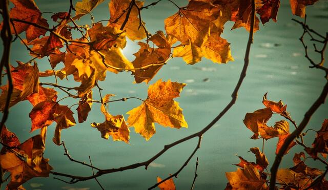 Statt "Raindrops keep falling on my head" könnt ihr am Sonntag und Montag "Here comes the sun" in euren Musikmix mischen. | Foto: Pixabay