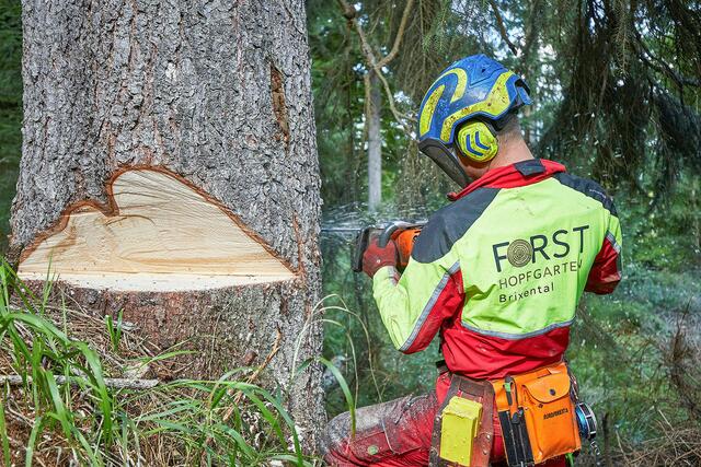 Im Gegensatz zu einer verstärkten Nutzung plant die EU für die Wälder Europas zunehmend strengere Bewirtschaftungsauflagen. Im Rahmen des Green Deals soll die EU-Entwaldungsverordnung (EU Deforestation Regulation, EUDR) umgesetzt werden. | Foto: © Gemeinde Hopfgarten