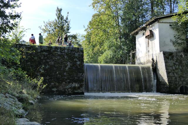 Foto: Schrödl Gerhard, Eva Hatzmann