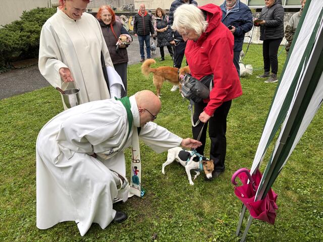 Foto: MeinBezirk