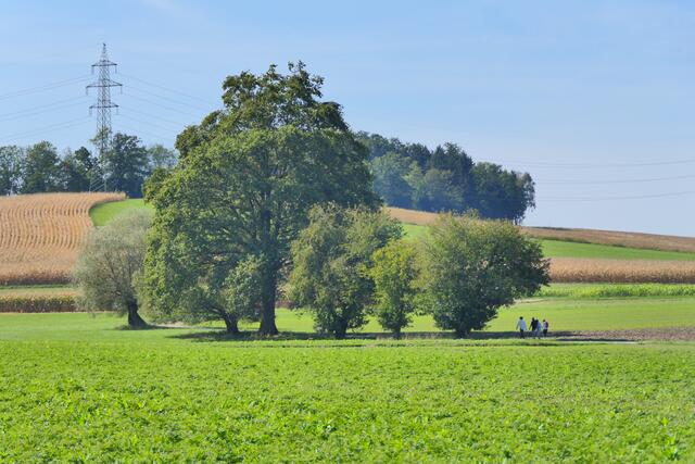 Foto: Schrödl Gerhard, Eva Hatzmann