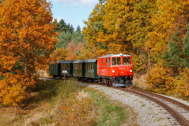 Die Diesel-Nostalgiegarnitur der Waldviertelbahn fährt gemütlich durch den farbenprächtigen Herbstwald | Foto: NÖVOG/Heussler