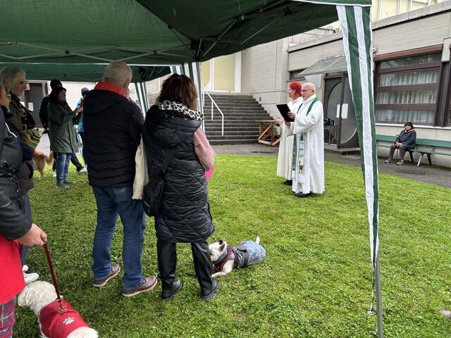 Foto: MeinBezirk